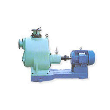 Wzw Series Self Priming Sewage Bomba de agua